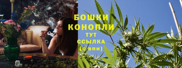 метадон Каменногорск