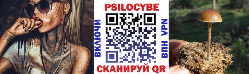 Галлюциногенные грибы MAGIC MUSHROOMS  Купить закладки  Сим 